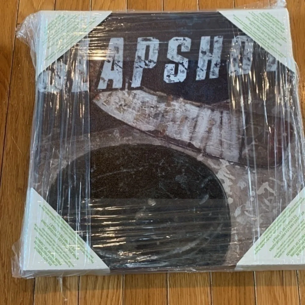 New Oopsy Daisy Slapshot & ProAm Racing Canvas Picture Wall Art 14” Square NWT